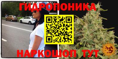 мдпв Гагарин